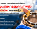Refined Champagne-Gold Ranking Panel